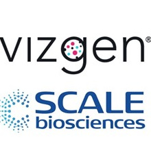 https://global-engage-staging.cda-development3.co.uk/wp-content/uploads/2024/04/Vizgen-Scale-Logo-220-1.jpg